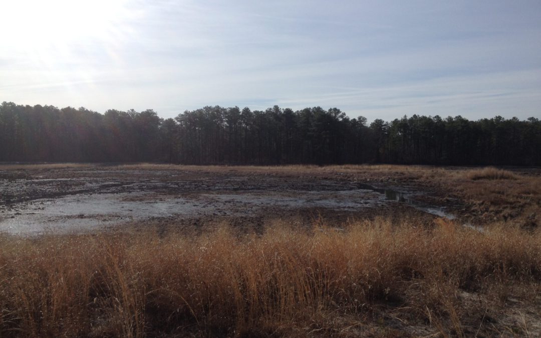 Morning over the Mullica River