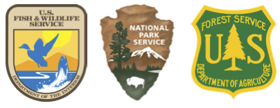 Meet the 2016 Interagency Wilderness Fellows