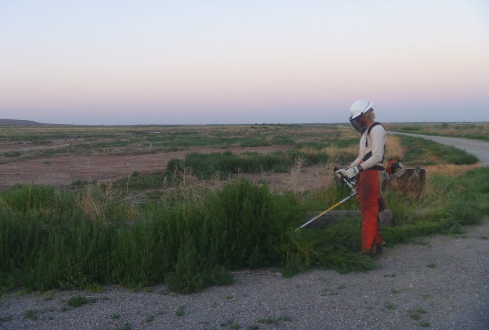 Restoration | Bitter Lake NWR