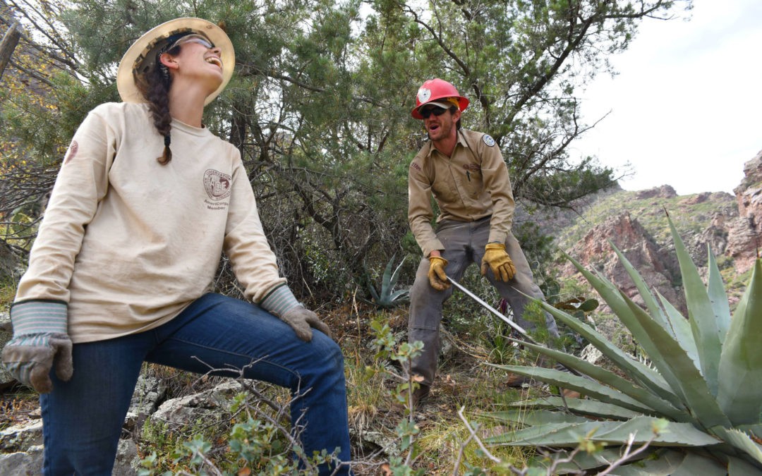 Trail Maintenance | Tonto National Forest
