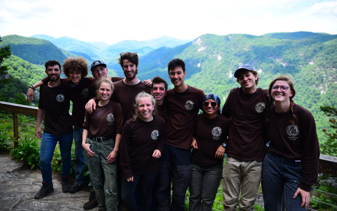 Invasive Species Removal at Chimney Rock State Park