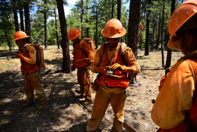 Timber Marking in Coconino National Forest