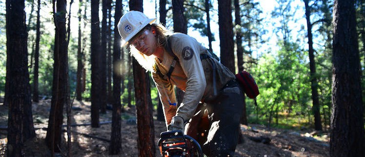 Dry Lake Hills Forest Thinning