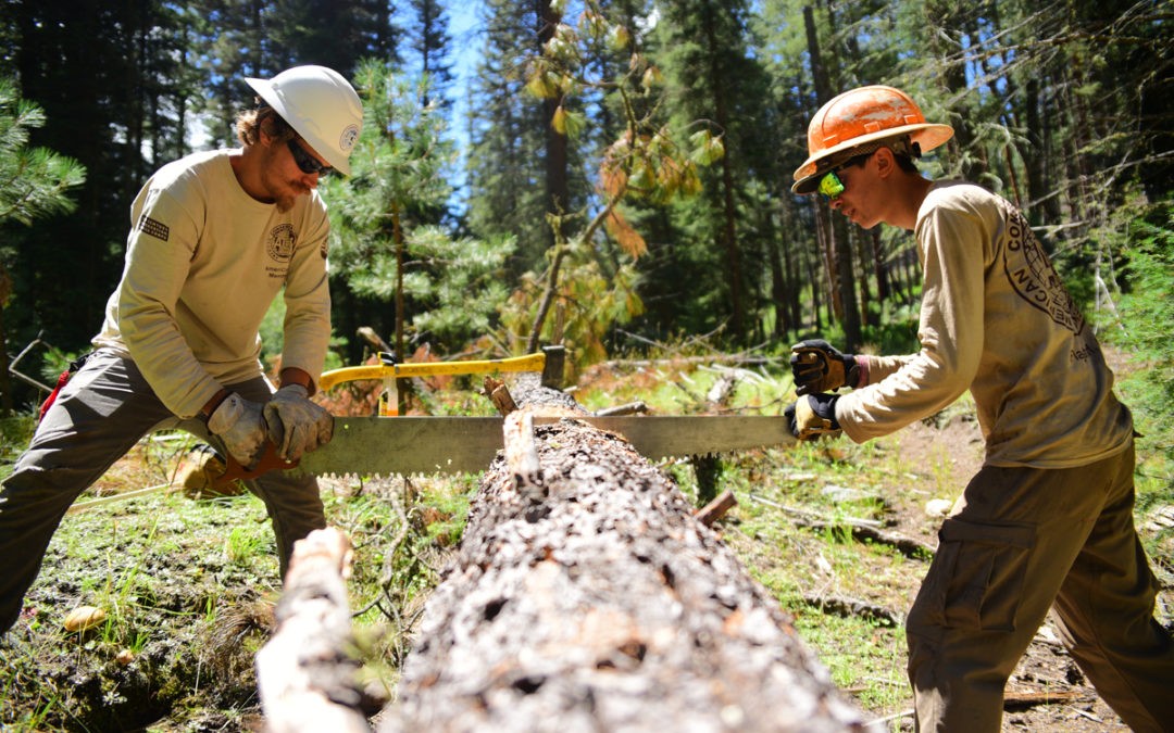 Pecos Wilderness | Borrego Trail | Crosscut