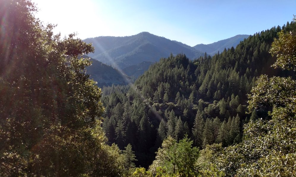 ACE Northern California — Restoration in the Sierra Nevada Mountains
