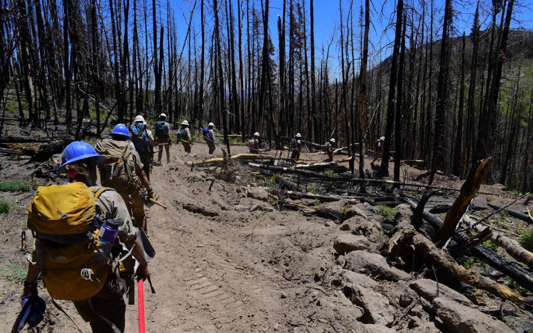 Dixie National Forest | Bunker Creek Trail