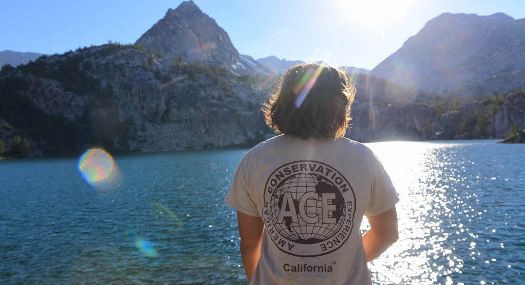 Inyo National Forest | Lamarck Lakes Trail