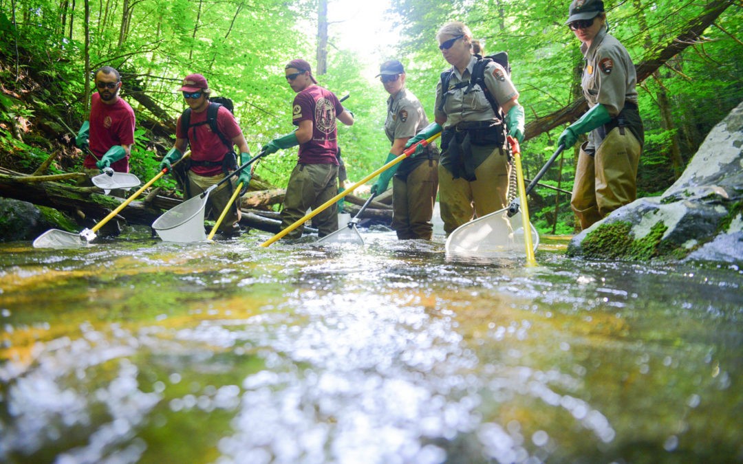 EPIC Corps to Career | Shenandoah National Park | Fisheries Team