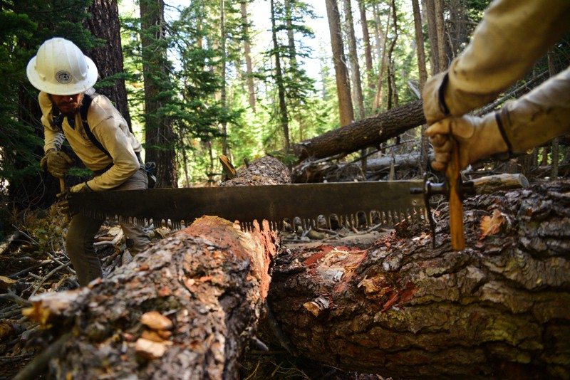 Inyo National Forest | Forest-Wide Wilderness Maintenance Crew