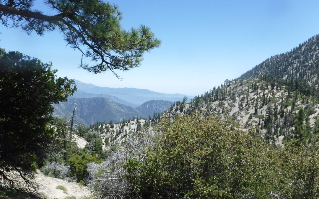 Trail Inventory and Maintenance | San Gabriel Mountains National Monument, CA