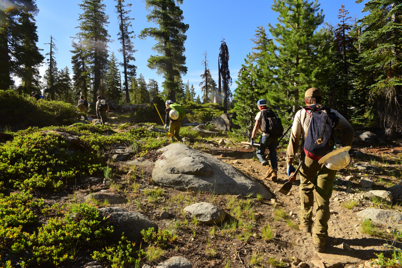 American Conservation Experience  Receives the Pacific Crest Trail Association (PCTA) Partnership Award