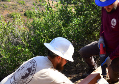 Volunteers Performing Conservation Work in the Field