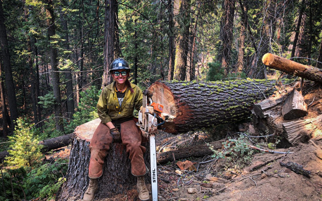 Bone Cutters, Forgotten Armies, and Fire | A History of Women in Tree Felling