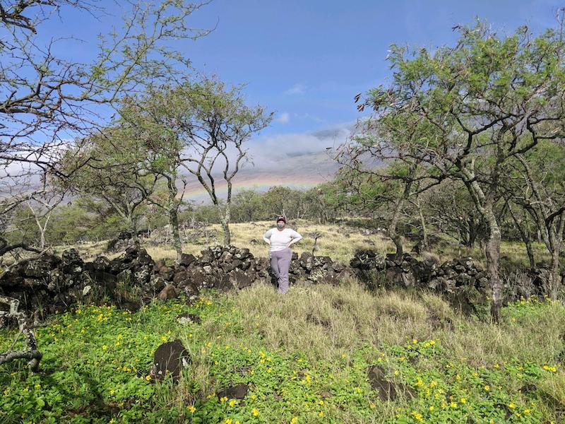 CRDIP | Archaeology and Agricultural Sites in Haleakalā National Park