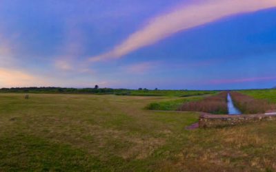 American Conservation Experience (ACE) - Environmental Service Corps