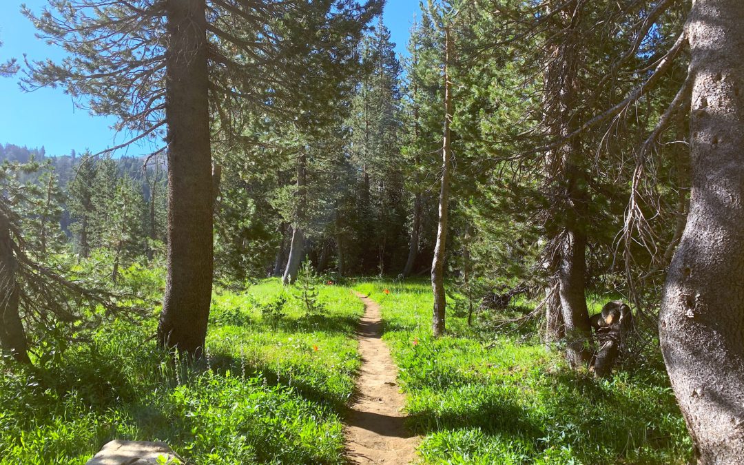 National Scenic Trails | Then and Now