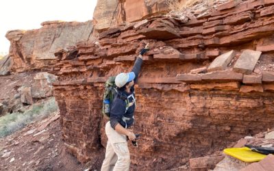 Paleontology at Wupatki National Monument