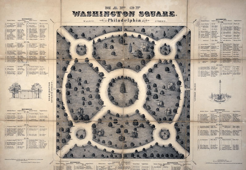 Morgan Clutter's Washington Square Hidden History - ACE