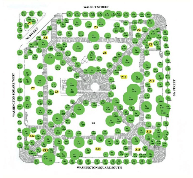 Condition Assessment of Trees from 2007