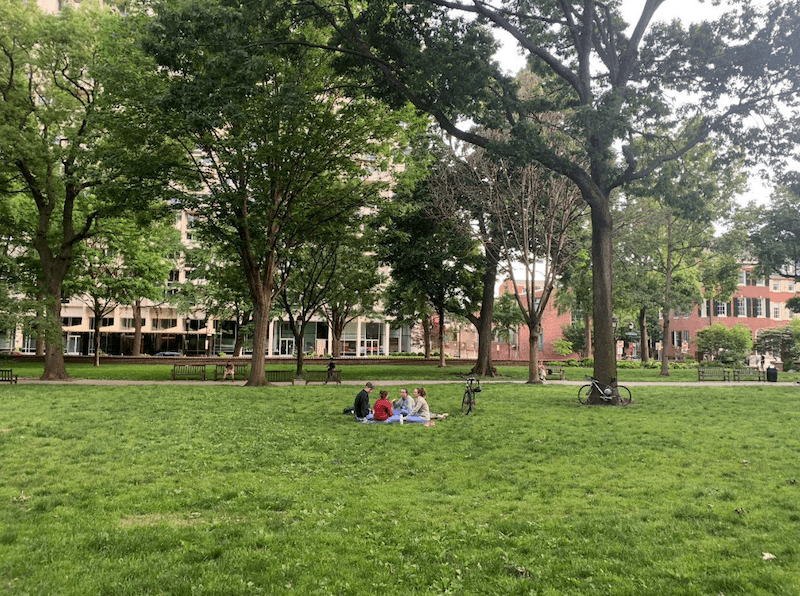 Group of people enjoying the lawn space in Washington Square