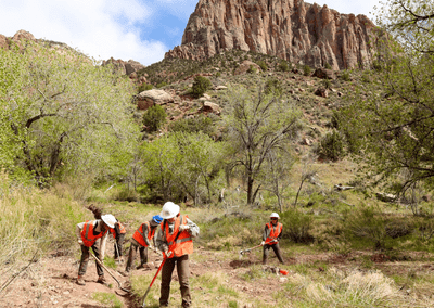 An ACE Crew in action at Zion National Park.