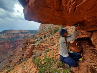 Paleontology in the Grand Canyon