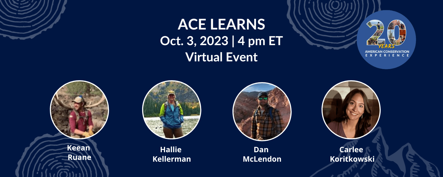 ACE Learns Landing Page Image ACE Learns banner image