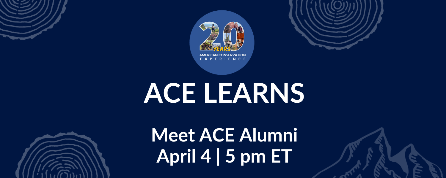 ACE Learns