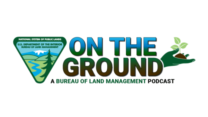 BLM podcast logo