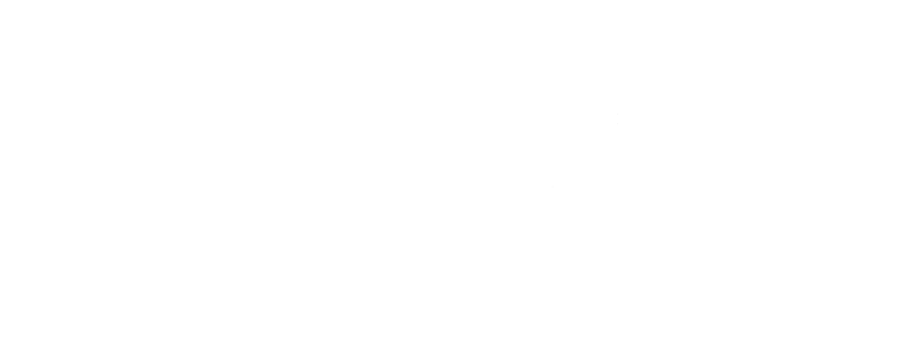 ACE partner logos