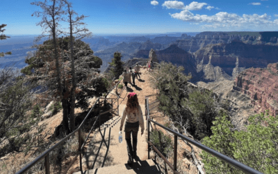 Pivot Your Experience for a Conservation Career