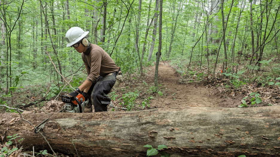 Alex working in the field