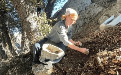 Growing the Landscape and Communities of Catalina Island