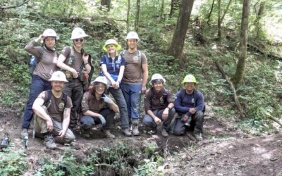 Opportunities in a Changing Conservation Job Market