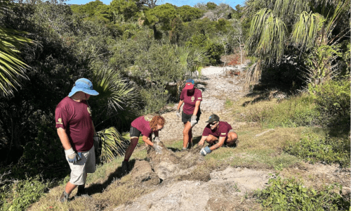 EPIC members working in the field photo