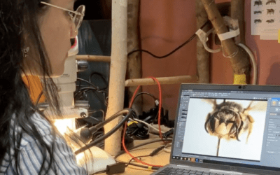 Bee-Hind the Scenes with an EPIC Member
