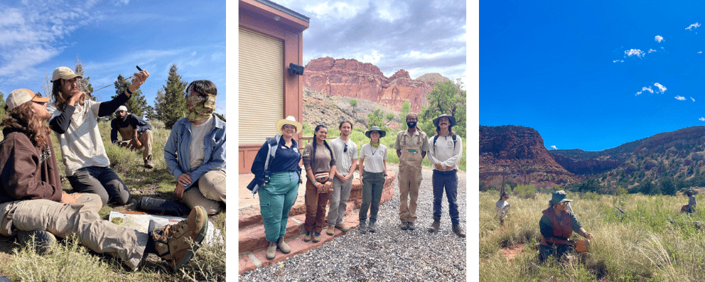 Photo collage of Jenna serving in the field