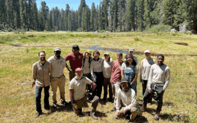 Building Trails, Building Bonds: Your Journey with a Conservation Corps
