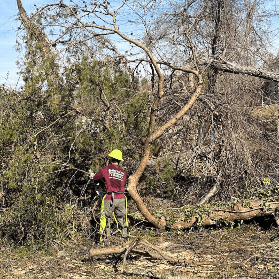 ACE member with chainsaw disaster response image
