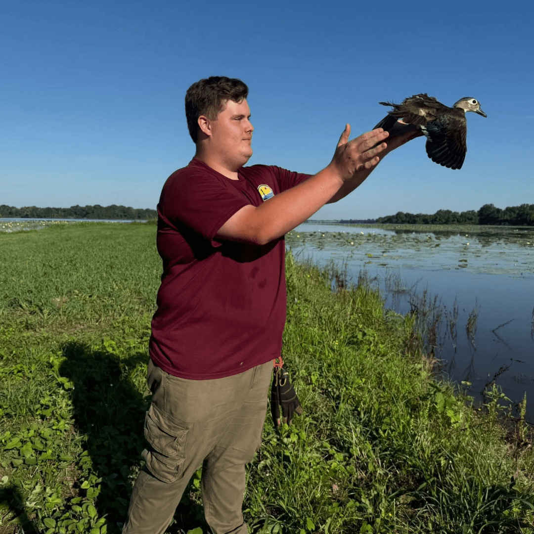 EPIC member releasing bird image