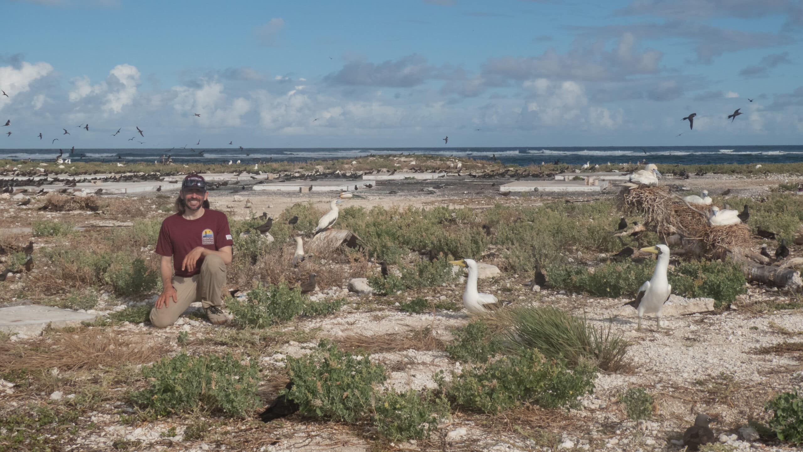 E Komo Mai, Ekupuʻu: Welcoming the Laysan Finch Back to Midway Atoll MWR