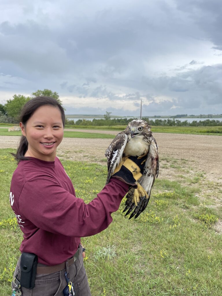 ACE member holding a bird