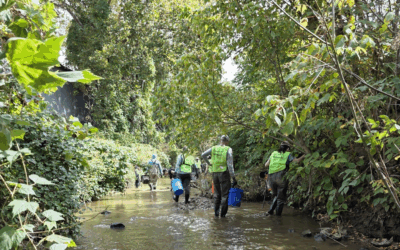 A Year Later – The Spirit of ACE Never Leaves – Rebuilding, Together Post Helene