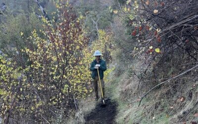 Transforming Passion into Conservation Leadership