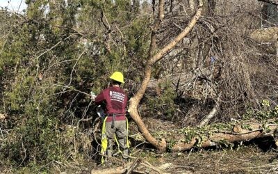 From Crisis to Connection – Disaster Recovery