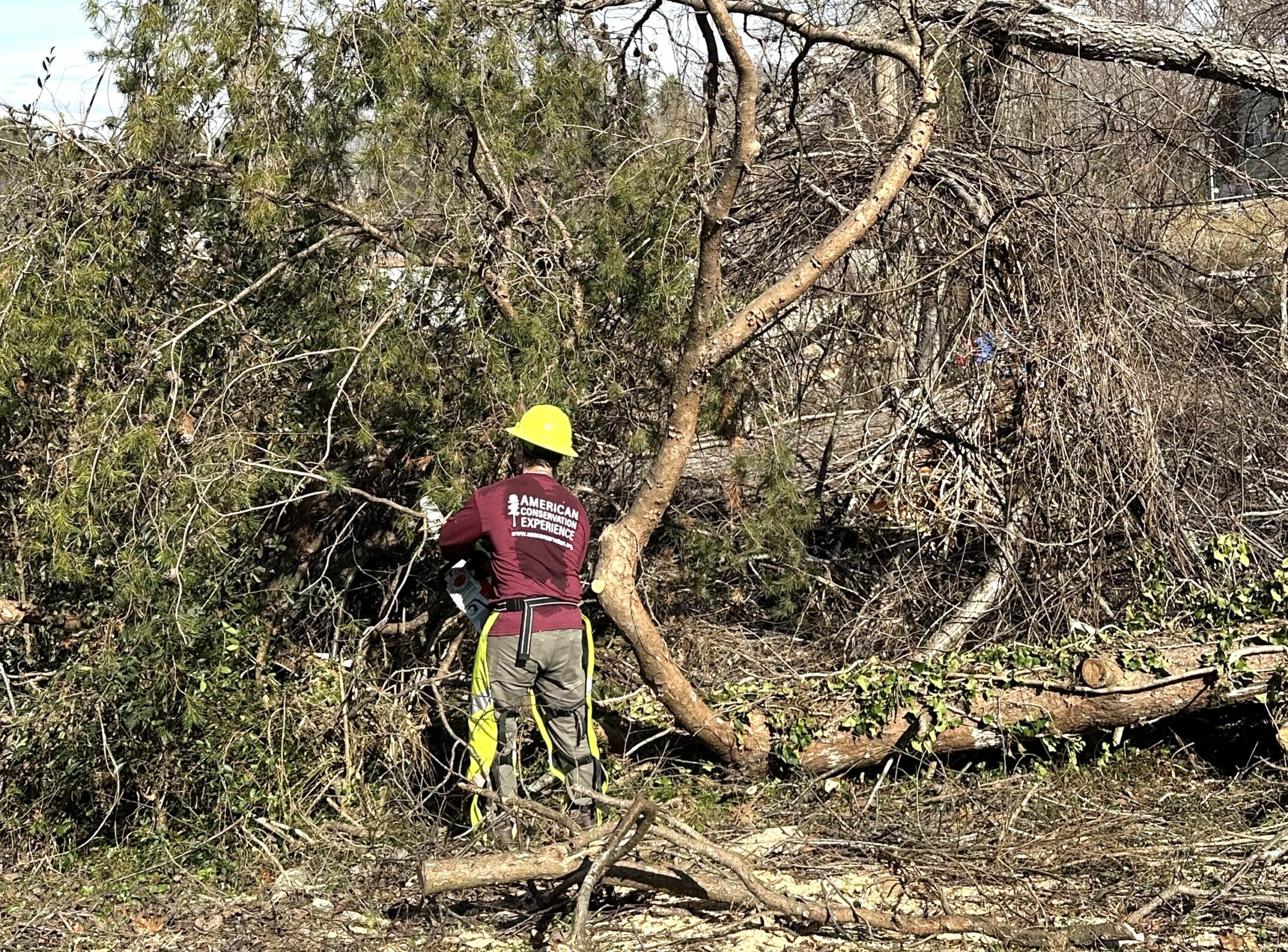 ACE member clearing debris photo