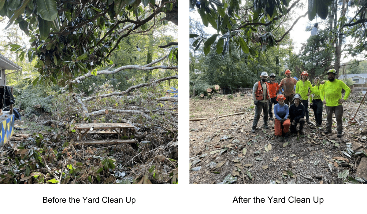 Before and After Photo