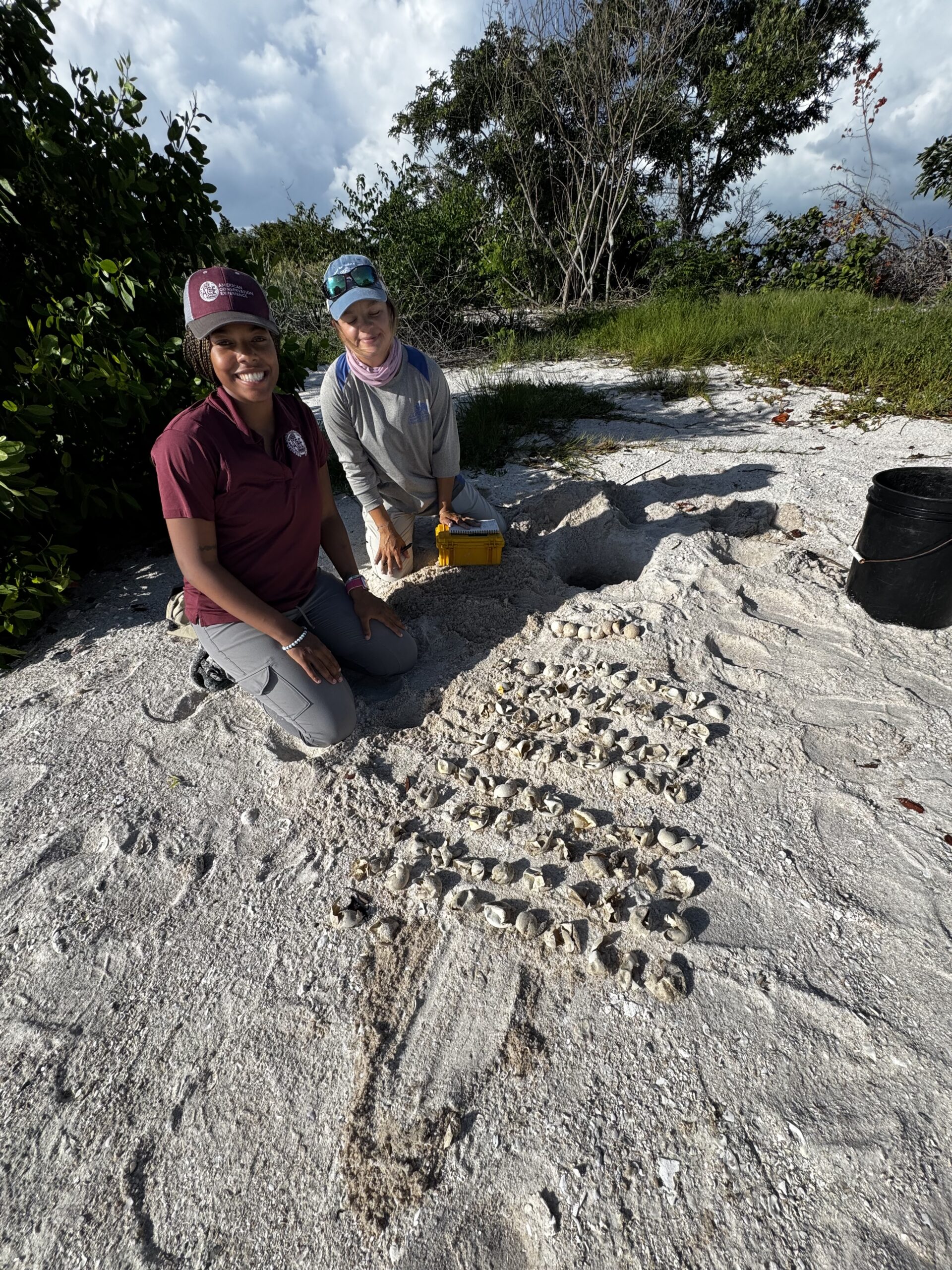 Photo of Tandria monitoring sea turtle nexts