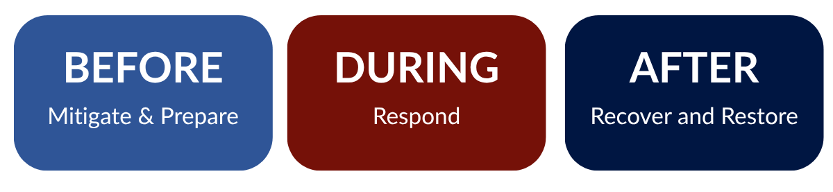 ACE Disaster Graphic