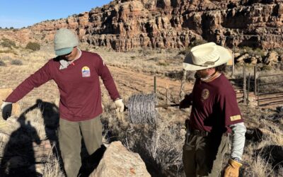 Protecting National Parks – Keeping Livestock Where it Belongs